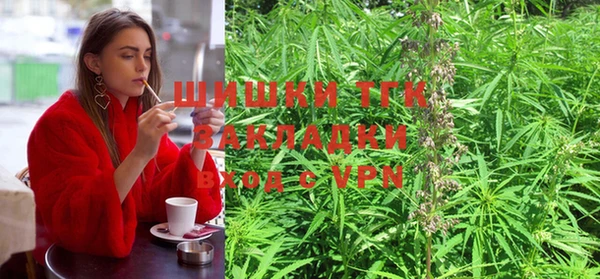 бошки Алзамай