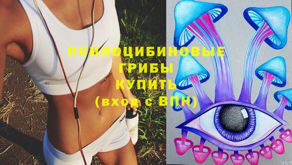 бошки Алзамай