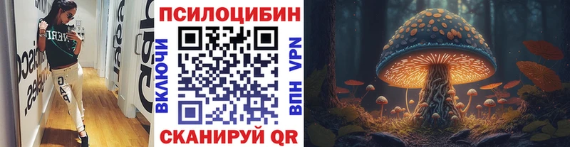 Псилоцибиновые грибы прущие грибы  наркота  Плавск 