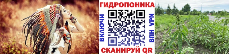 Шишки марихуана MAZAR закладки Плавск